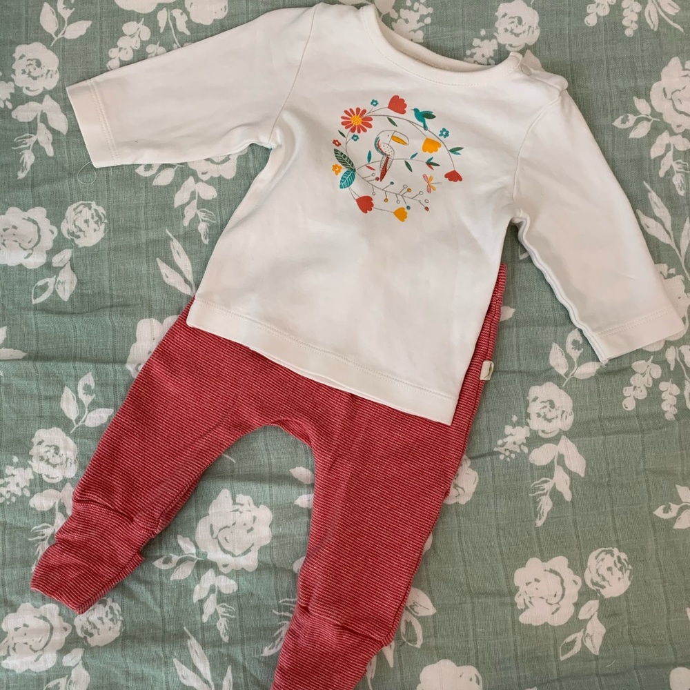 Tiny Twig Babygirl Outfit🌞